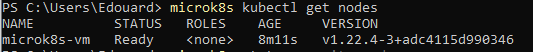 'Micro K8s kubectl get nodes'