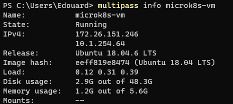 'Micro K8s info'